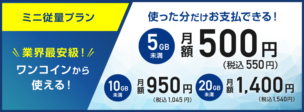 ミニ重量プラン