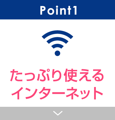 Point1 たっぷり使えるインターネット
