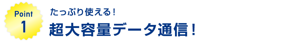 Point1：たっぷり使える！超大容量データ通信！